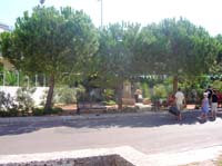 DSCN1701